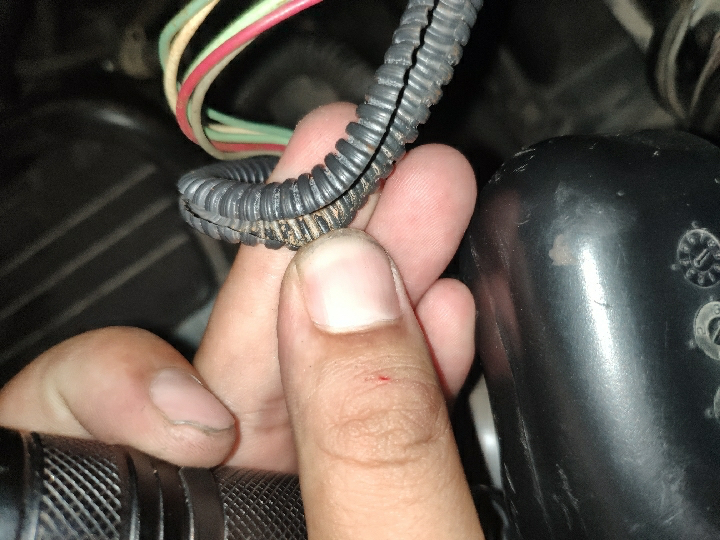 二手車看一眼就懂，這種老司機最容易看走眼