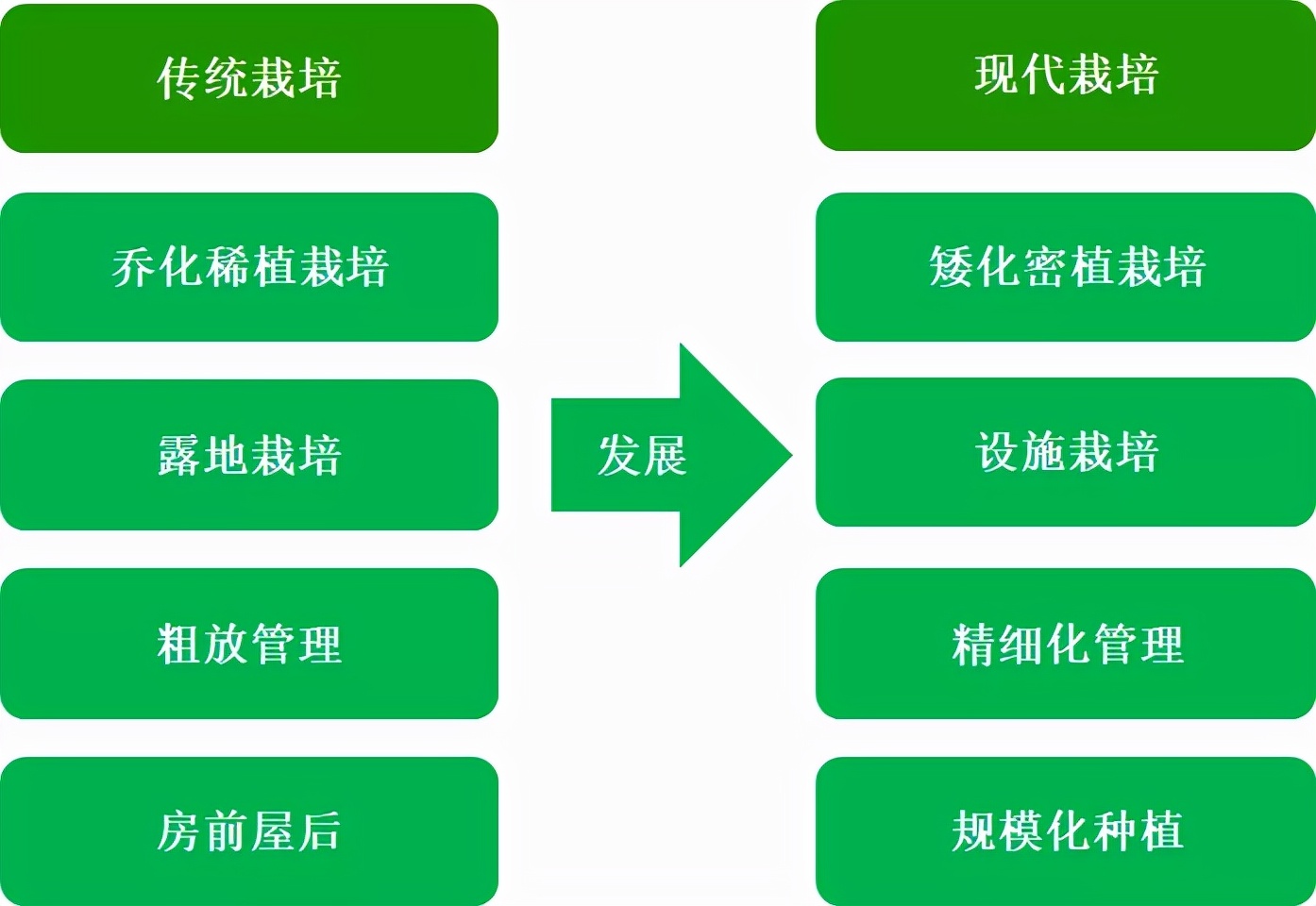 2021年中国红枣产业现状及发展分析报告