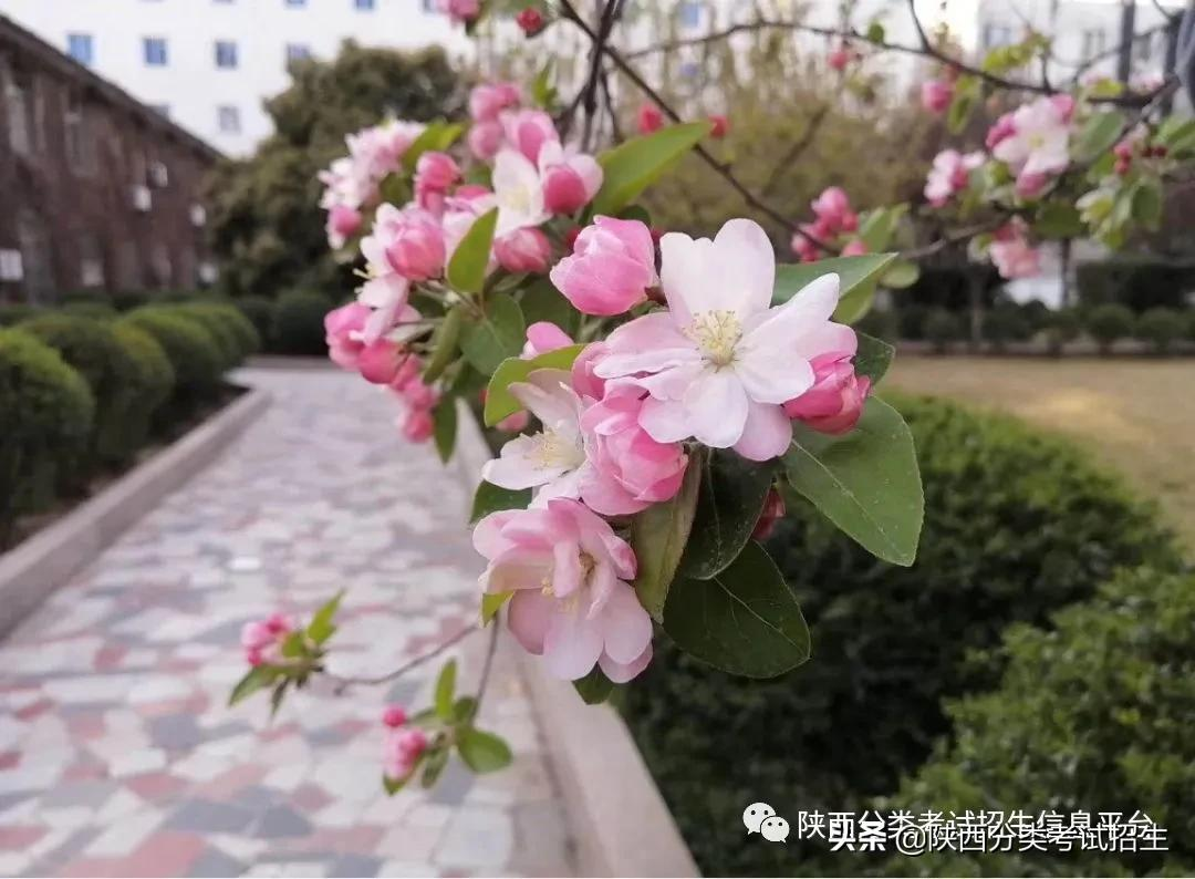 院校风采 || 走进“示范高职院校”—西安电力高等专科学校