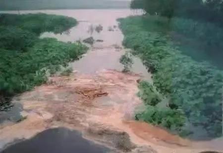 以“三湾一口”生态整治为重点，建设海洋生态文明
