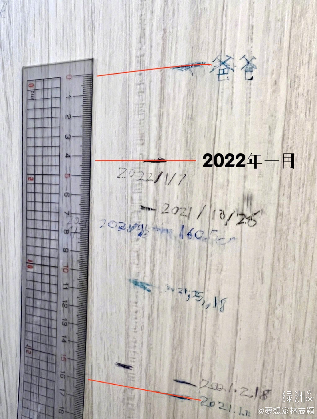 林志颖晒儿子最新身高，kimi一年长高12公分，父子只有4厘米之差