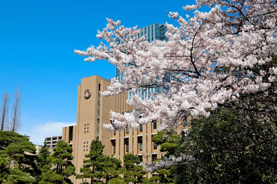 日本情報理工top院校全攻略—大阪大學,東北大學,名古屋大學