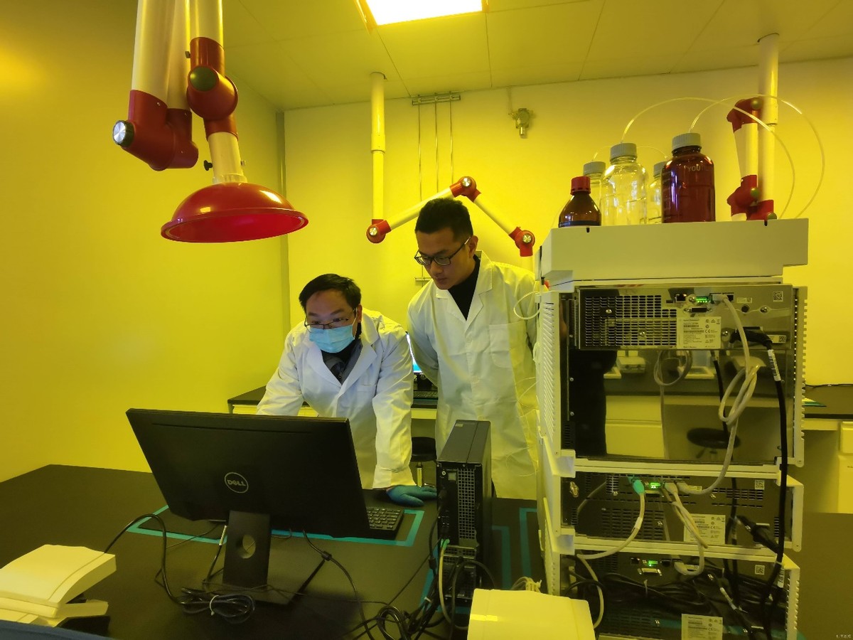 现场直击 久日新材大晶信息项目建设有序推进中 公司 第2张