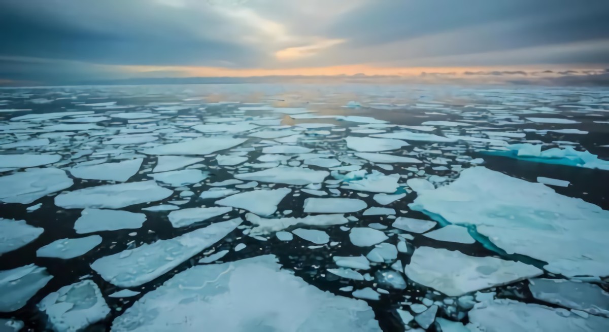 地极之土，唯美北极，为何日渐走向“死亡”？