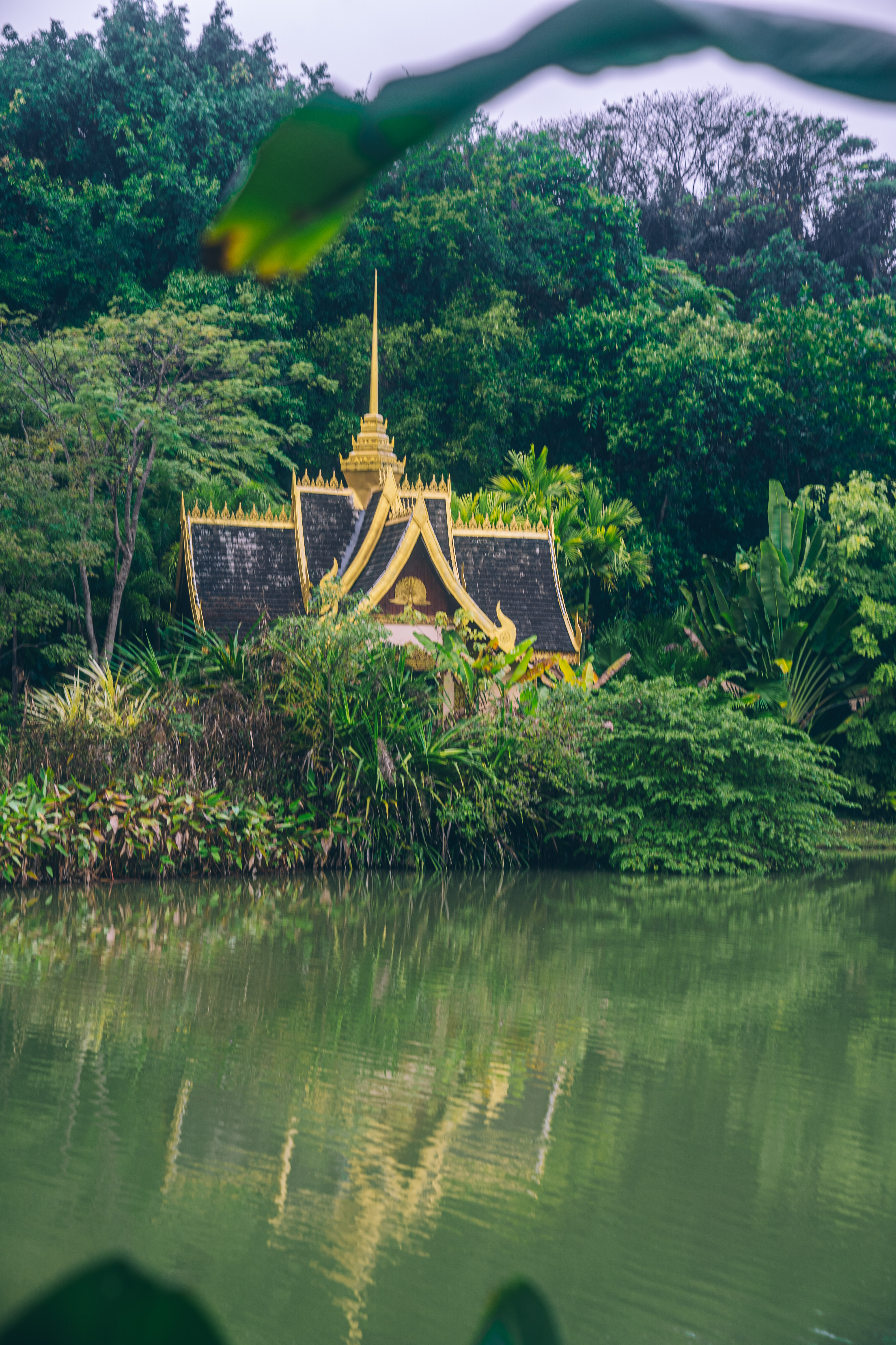 不逛一逛这个公园白去西双版纳,这太有异域风情,仿佛来到泰国 - 时代