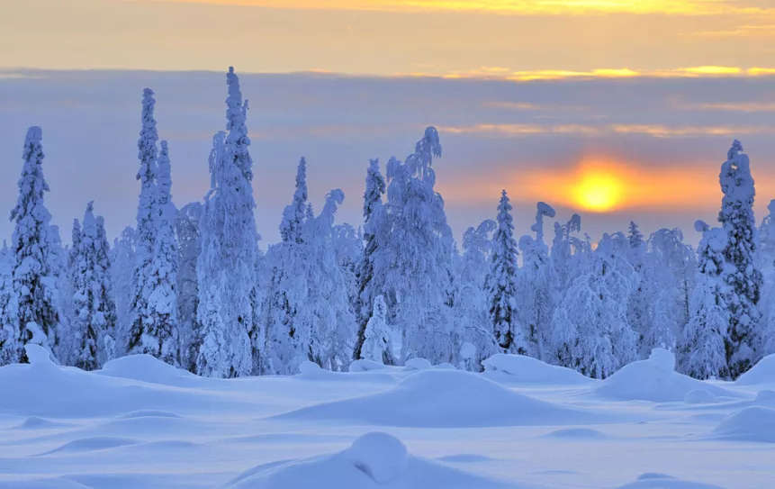 【夜读 · 散文】冰雪记忆