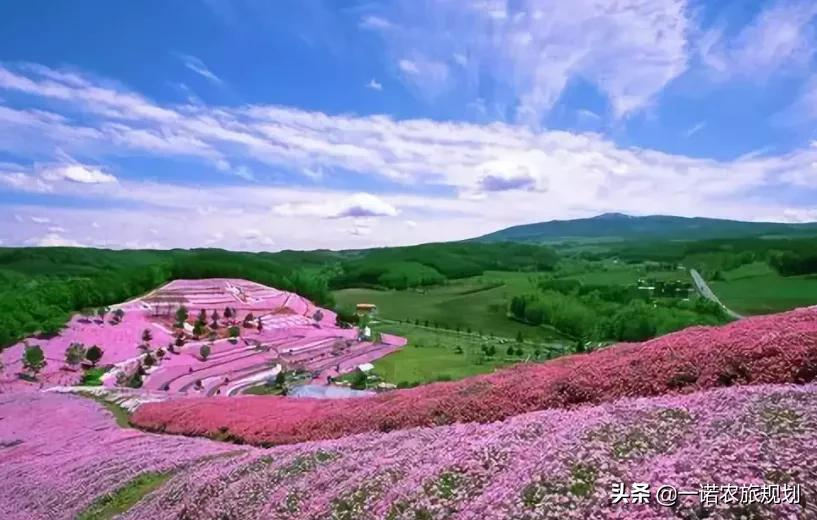 田园综合体:如何挖掘本地资源?