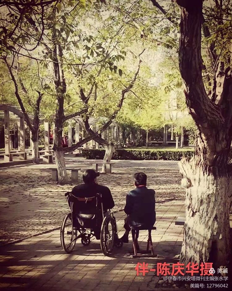 铁十四师战友《辞旧迎新》网上联欢晚会专辑！美篇制作：张永学