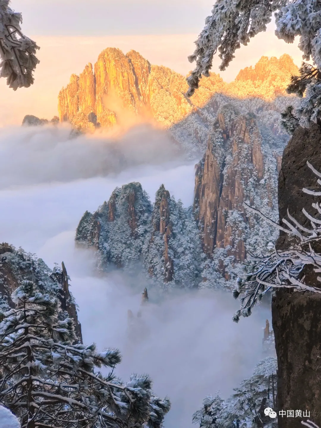 黄山雪后初霁,日出云海齐现美如仙境