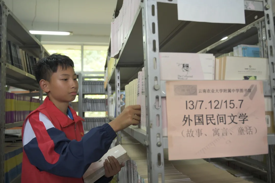 271教育丨让心灵徜徉书海——今天我当图书管理员