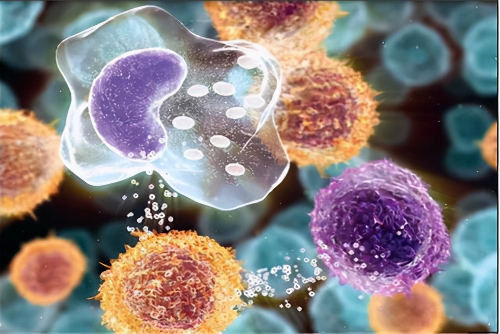 洗屁股竟比洗脸还重要？这可真不是开玩笑，看看吧