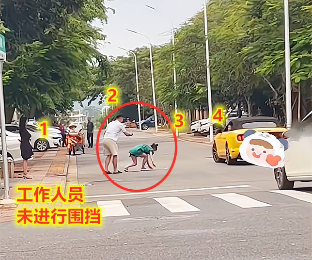 女网红“拍段子”躺马路上发出嚎叫，追逐豪车未果，叉腰站路中央