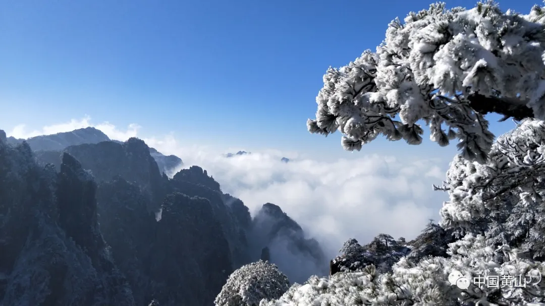黄山雪后初霁,日出云海齐现美如仙境