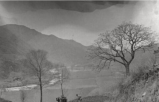 秦岭神奇事件：所有的活物都消失不见了