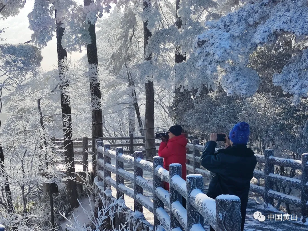 黄山雪后初霁,日出云海齐现美如仙境