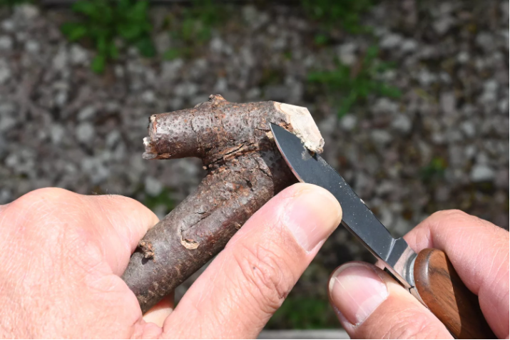 户外露营，忘记带地钉？一个简单又粗暴的办法，巧妙应对突发状况