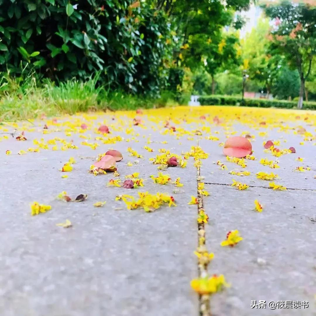 在人的一生中，定力非常重要