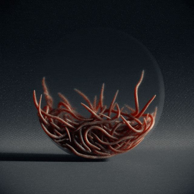 從啃PS到啃C4D，我的動態設計之路