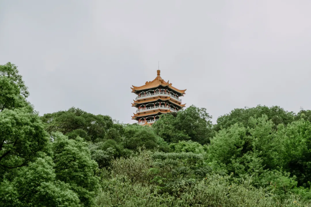 广州这10个好地方，本地人都未必会知道！还不来看看？