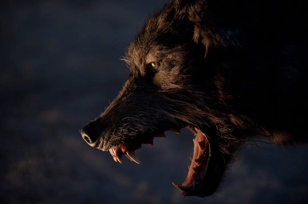 评分最高十大怪兽电影,《狂蟒之灾》排名垫底,《极度深寒》第6