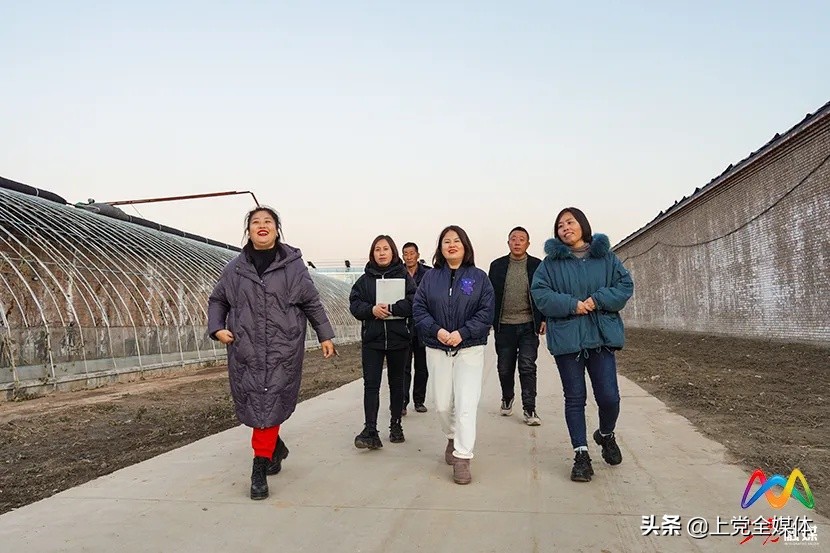 委员风采丨铿锵玫瑰的“中医药大健康产业梦”