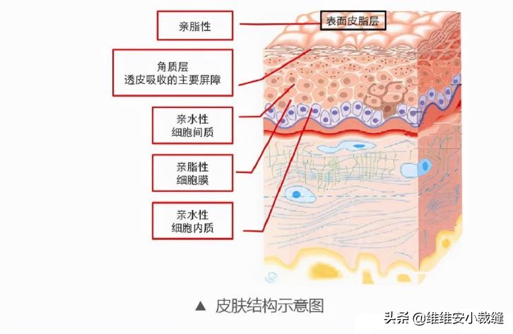 秋冬皮肤干燥发痒怎么办？分享润肤心得身体乳+保鲜膜，请收好