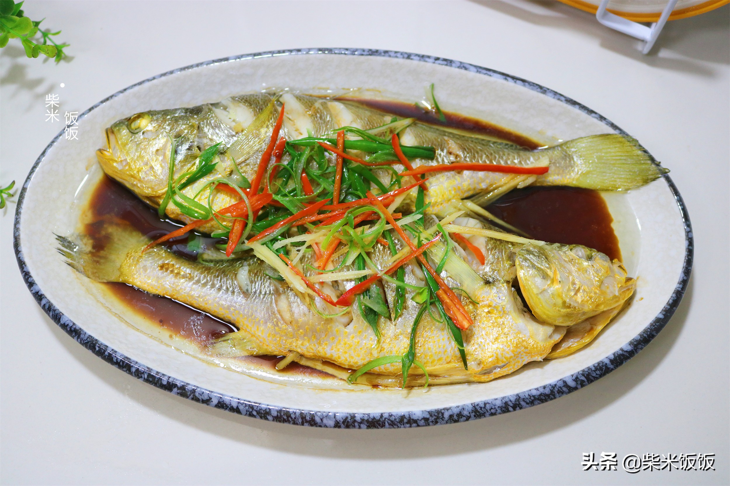 这种鱼，肉多刺少营养高，大火一蒸十分钟上桌，比红烧还好吃