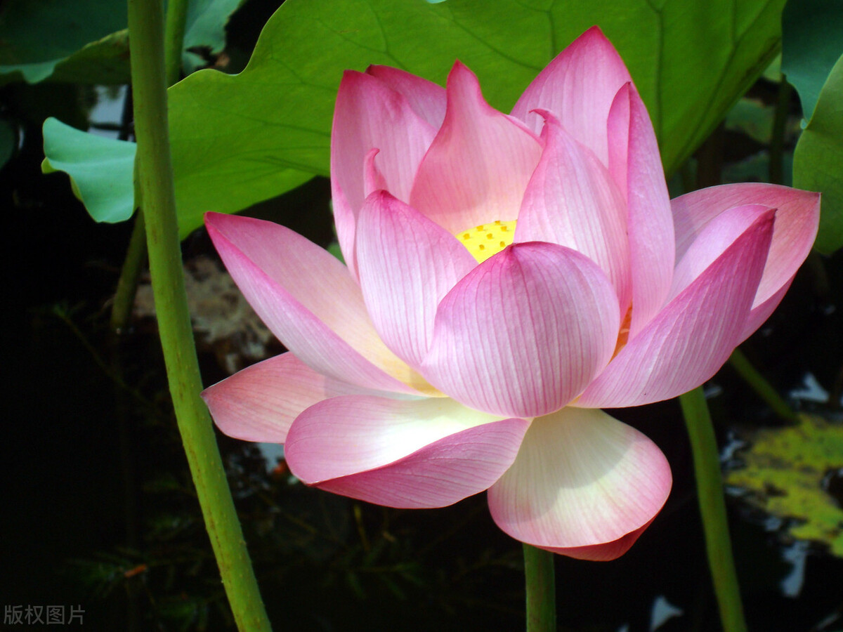 2021我从打工族到全职写作，从单篇0.47到7000元，收获远不止这些