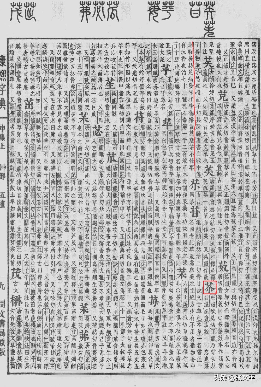 苶：这字两千年前就有了，今天人们还常挂在嘴边，可没多少人认识