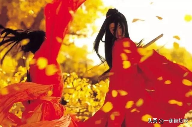 北美票房前十的华语电影：清一色动作片，新片没一个能打