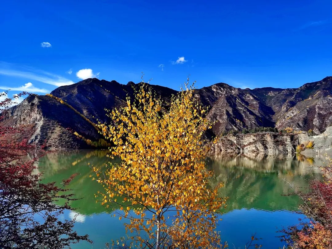 术布乡：耕好“河湖林路”责任田 守好“绿水青山”好家园