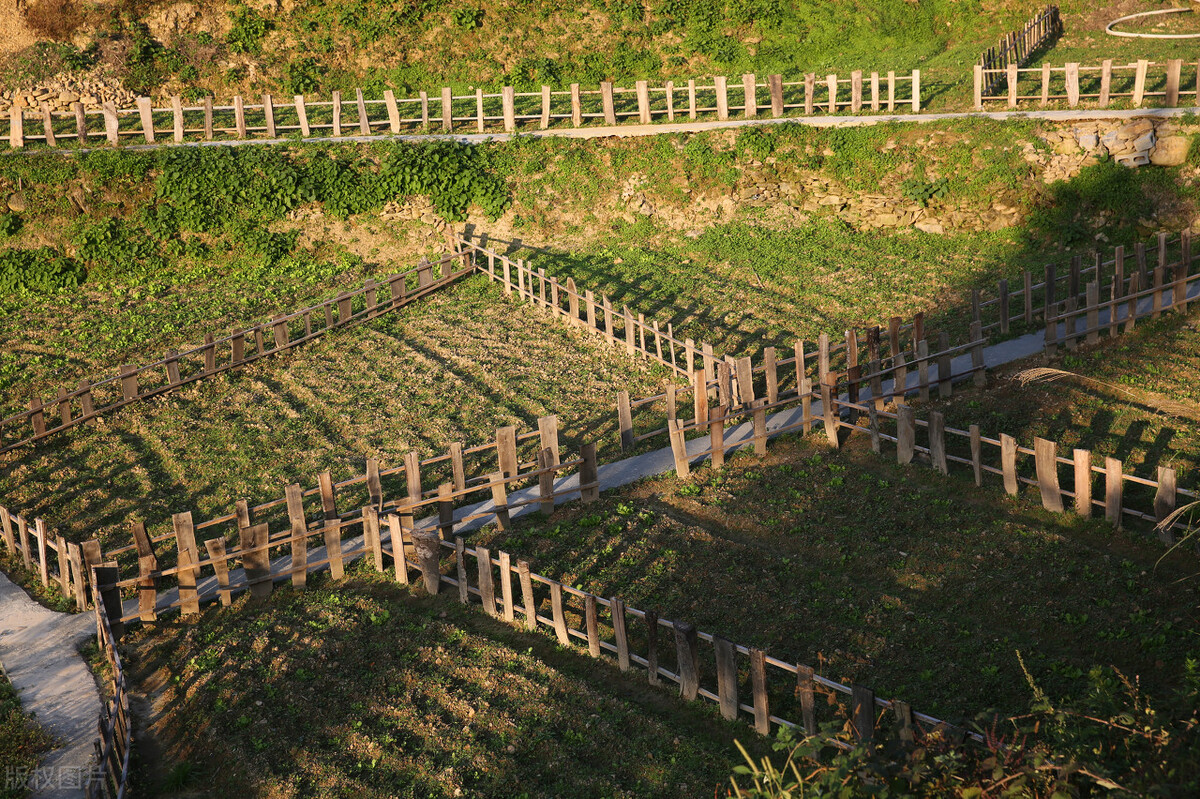 自媒体内容一定要垂直?颠覆了