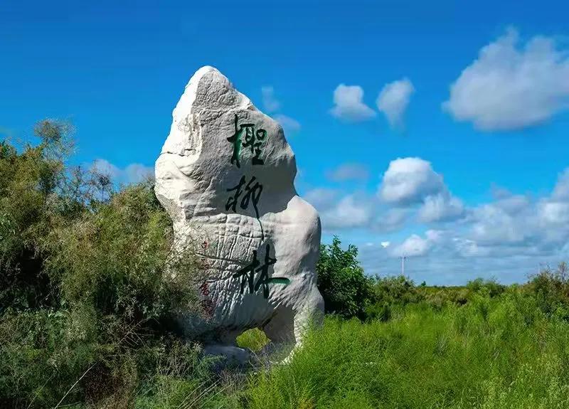 “南红北柳”在全国叫响一一全国海洋生态品牌现场会在山东召开