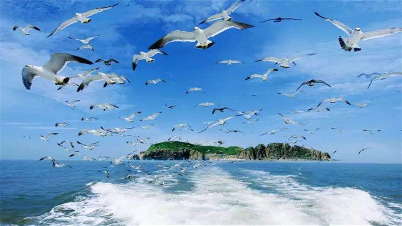 以“三湾一口”生态整治为重点，建设海洋生态文明