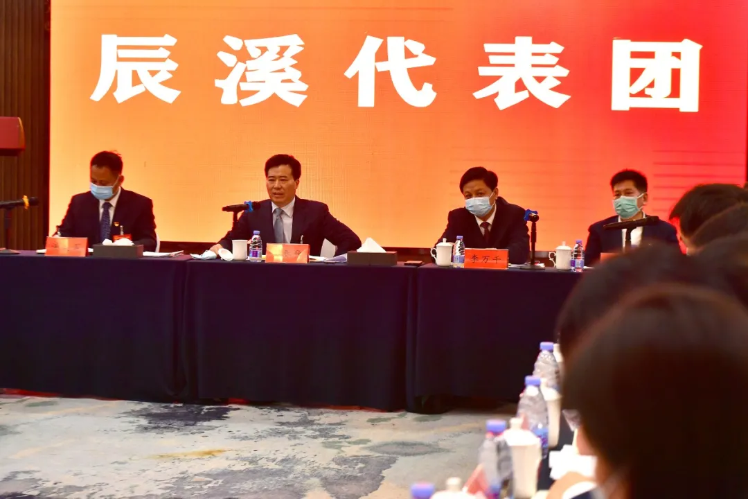 全力推动县域经济提质提量提速 黎春秋参加溆浦和辰溪代表团审议