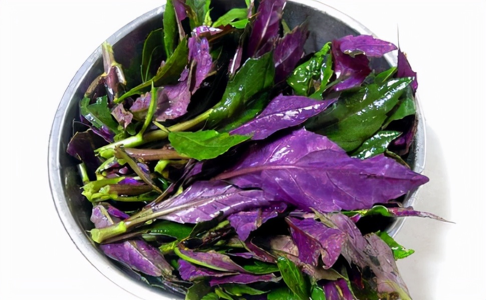 31種野菜大合集，帶你認識不同的野菜和吃法，你想要的野菜這裡有