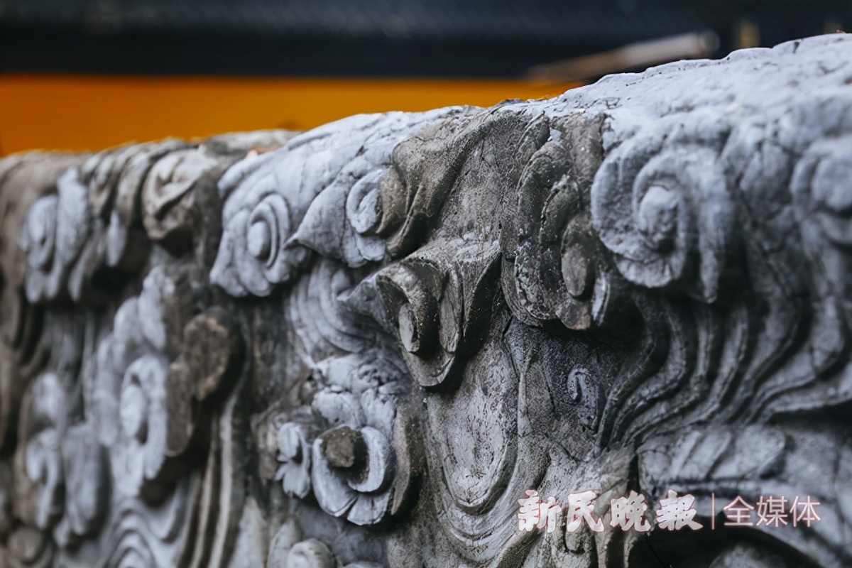 寻宋江南｜青浦金泽：在700岁古银杏树下探寻“不断云”