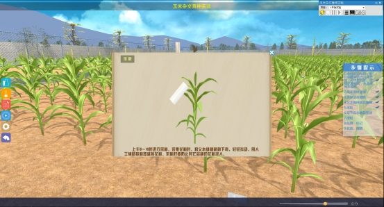 北京欧倍尔生物虚拟仿真之玉米病虫害仿真软件