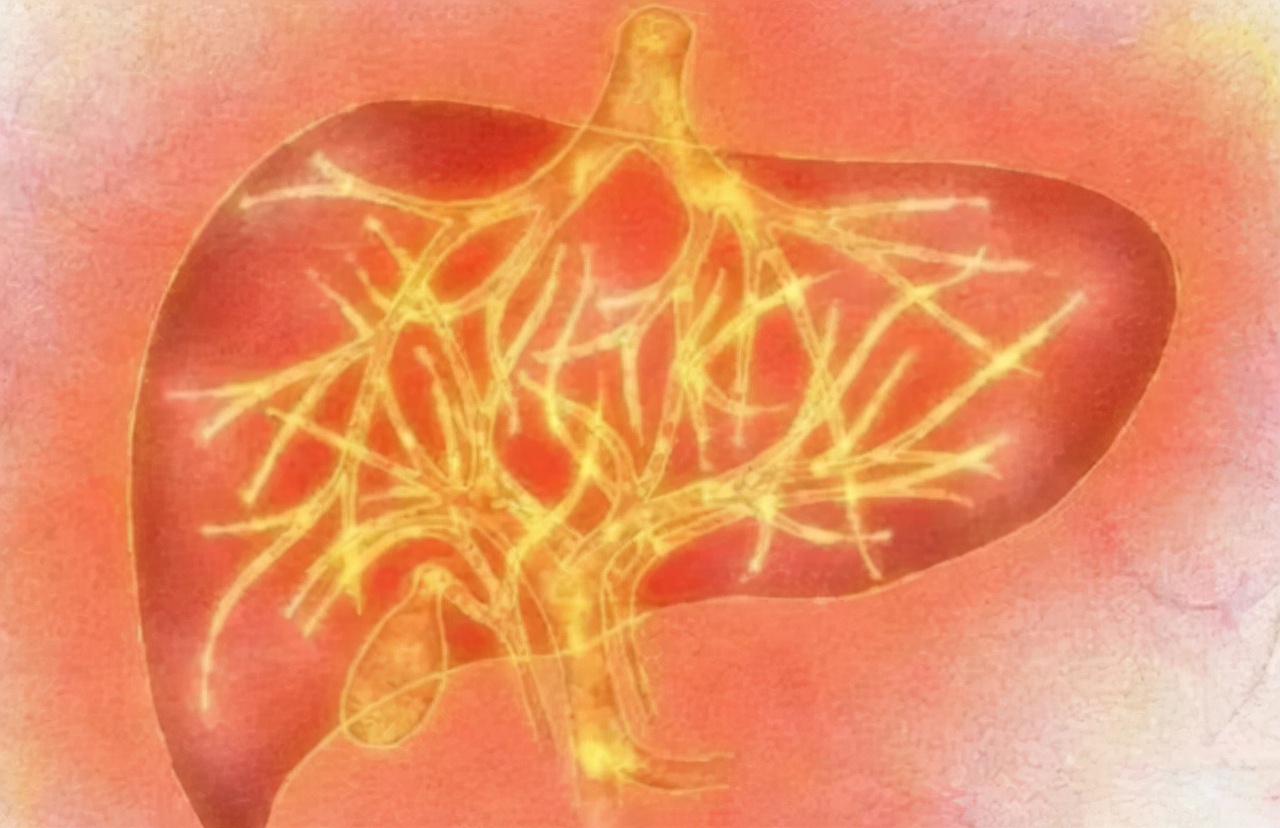 有胃火睡不香，有肝火易失眠，有心火爱做梦？这3招缓解“三火”