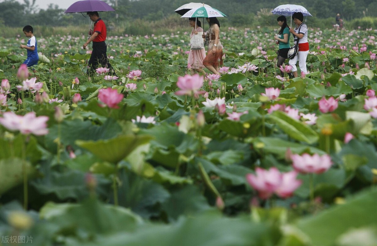 2021我从打工族到全职写作，从单篇0.47到7000元，收获远不止这些