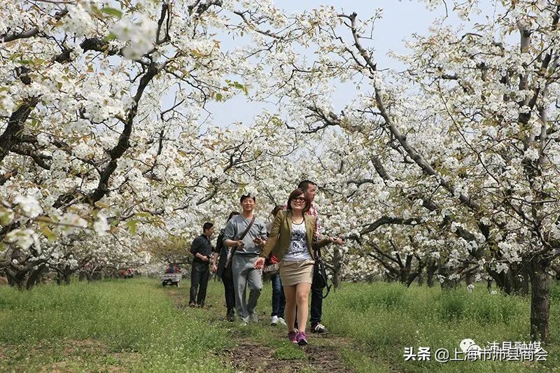 江苏沛县，中国美丽乡村旅游名县