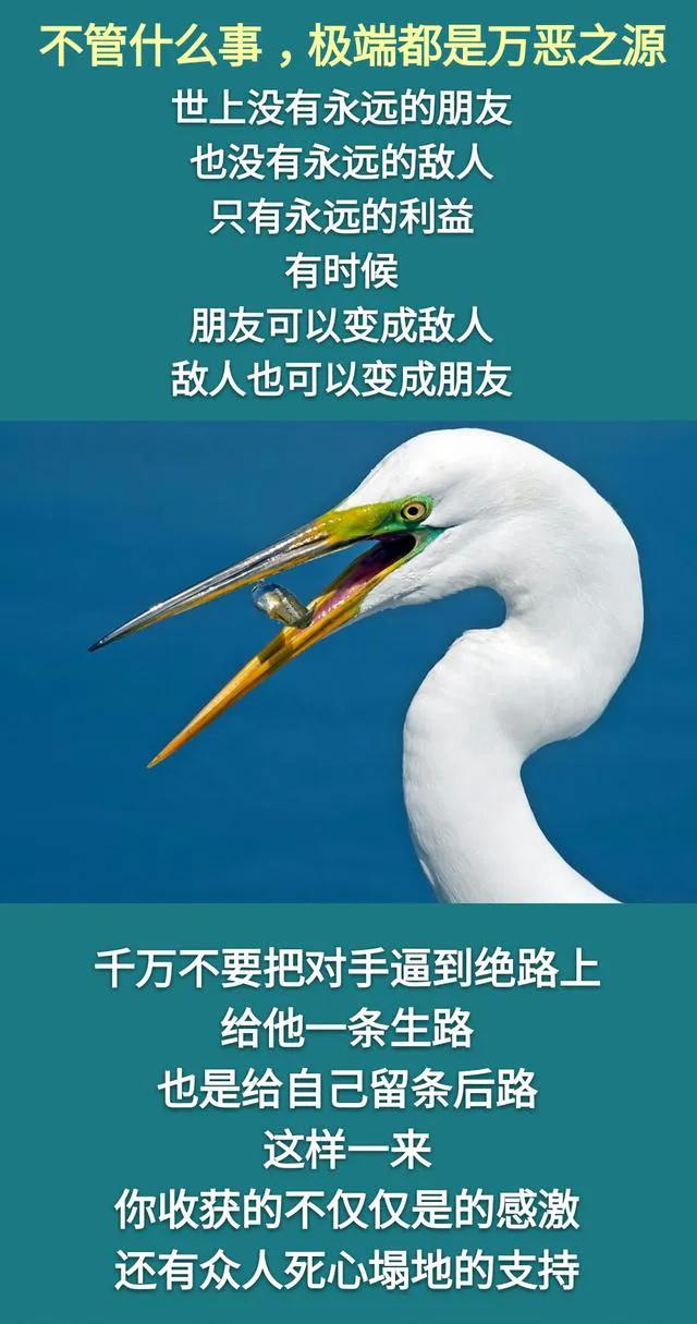 潛規則只能做，不能說；明規則只能說，不能做，別傻傻地分不清哦
