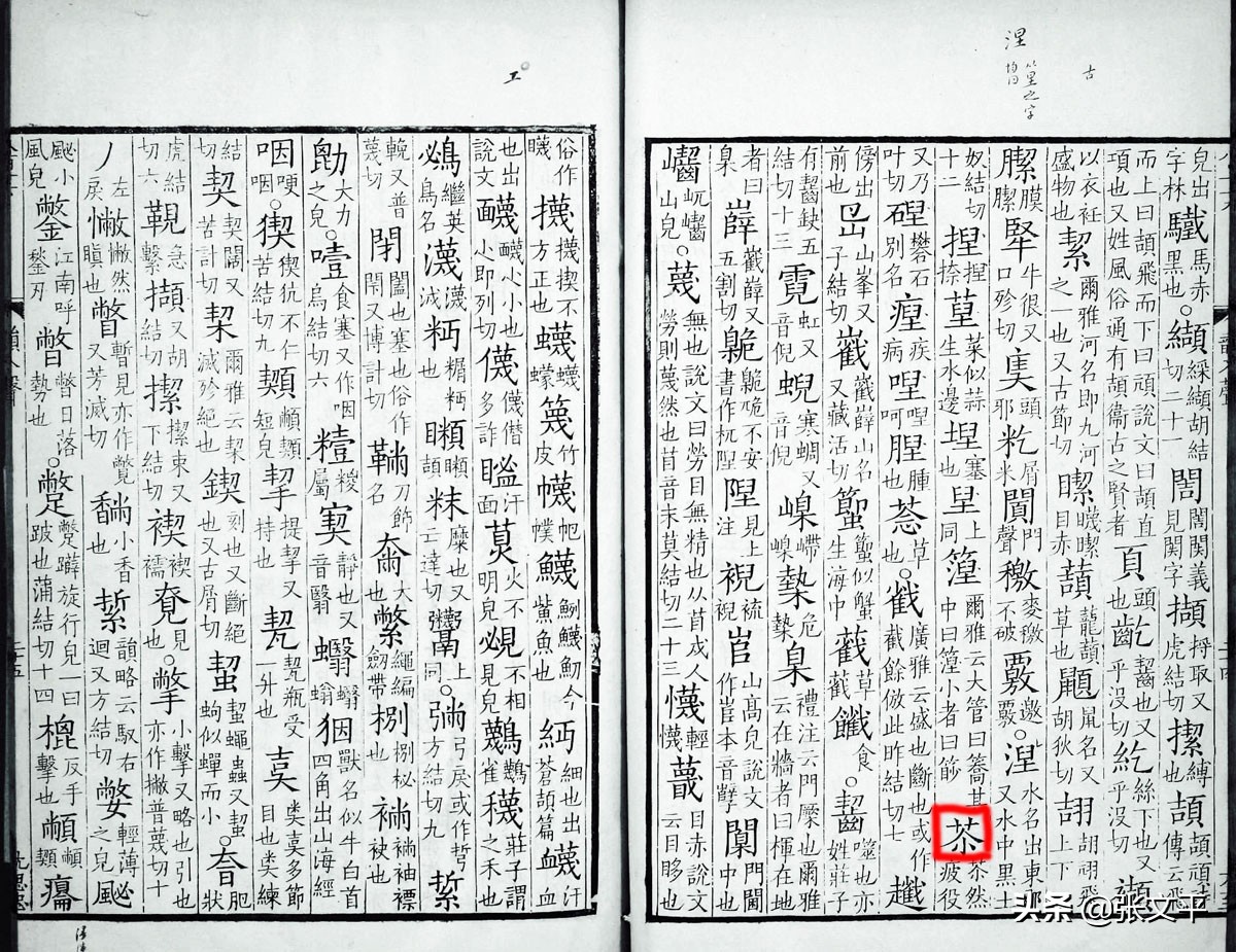 苶：这字两千年前就有了，今天人们还常挂在嘴边，可没多少人认识