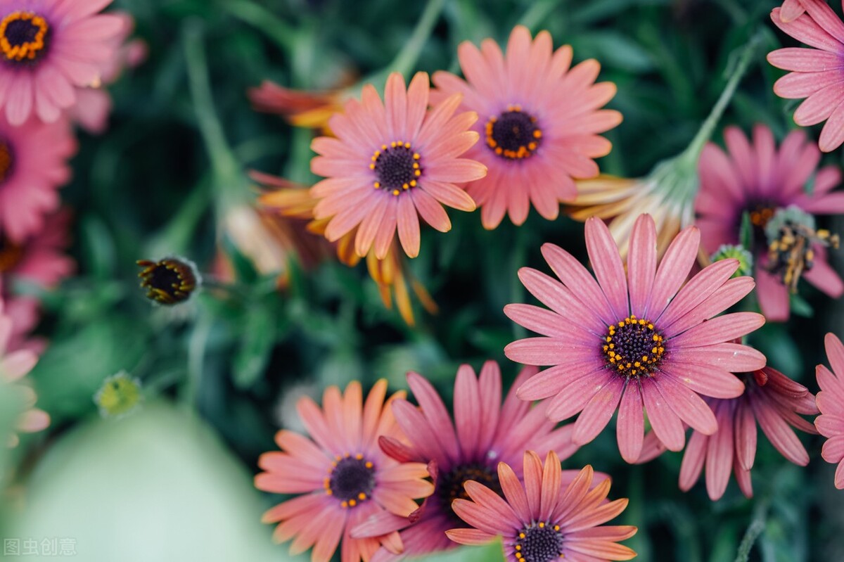 2021我从打工族到全职写作，从单篇0.47到7000元，收获远不止这些