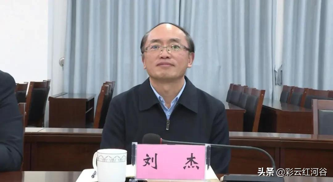 侨乡招商 | 红河县举行中医药产业发展战略合作框架协议签约会