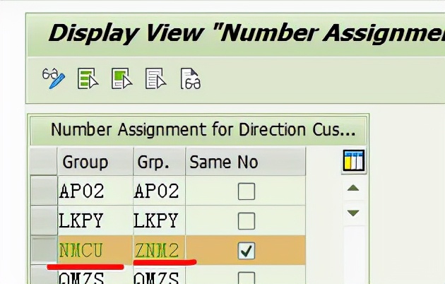 SAP 维护Plant Profile 报错- No customer account group assigned