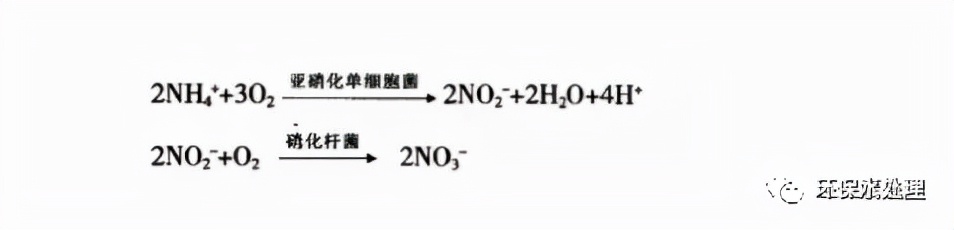 ǳʵ