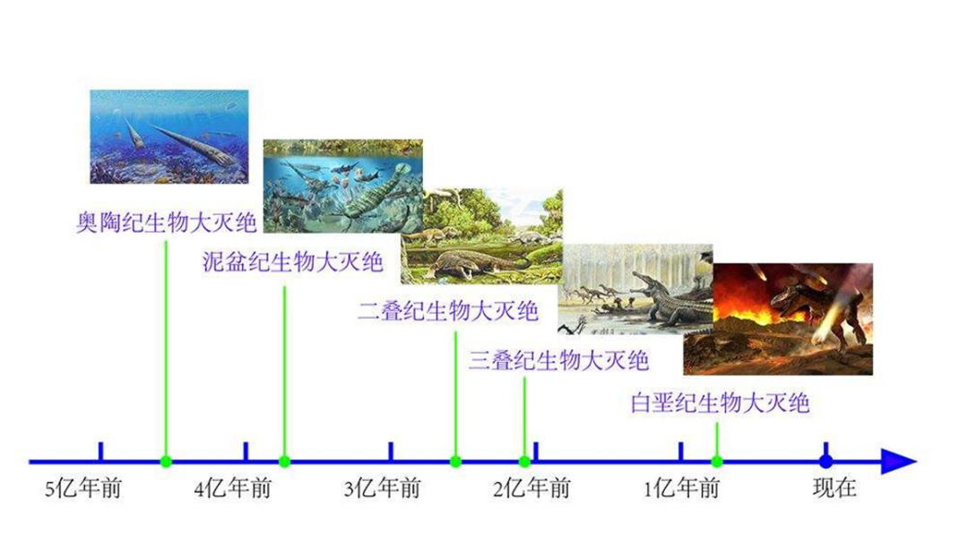 恐龙灭绝的元凶起争议，或许并非是小行星？新的“答案”是啥