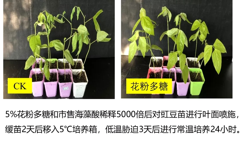 12月至明年2月气候变化最新预测,农民看完早作准备