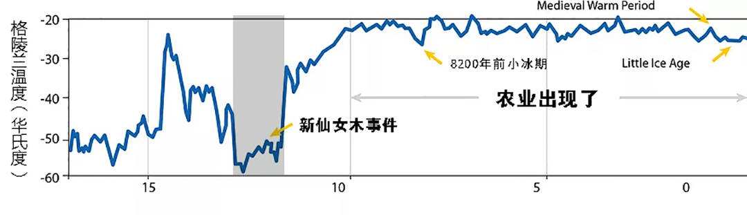 不知猫母已死，小猫捡到肉留给妈妈，自己肚子却满是泥沙石块